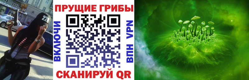 продажа наркотиков  Судогда  mega ССЫЛКА  Псилоцибиновые грибы GOLDEN TEACHER 